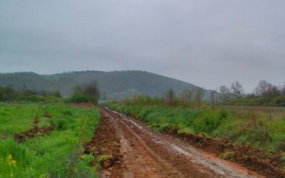 Завршени радови на равнању земљаног пута у Топоници