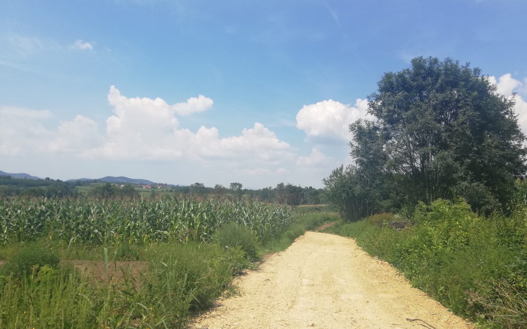 Завршени радови на територији Месне заједнице Врбета