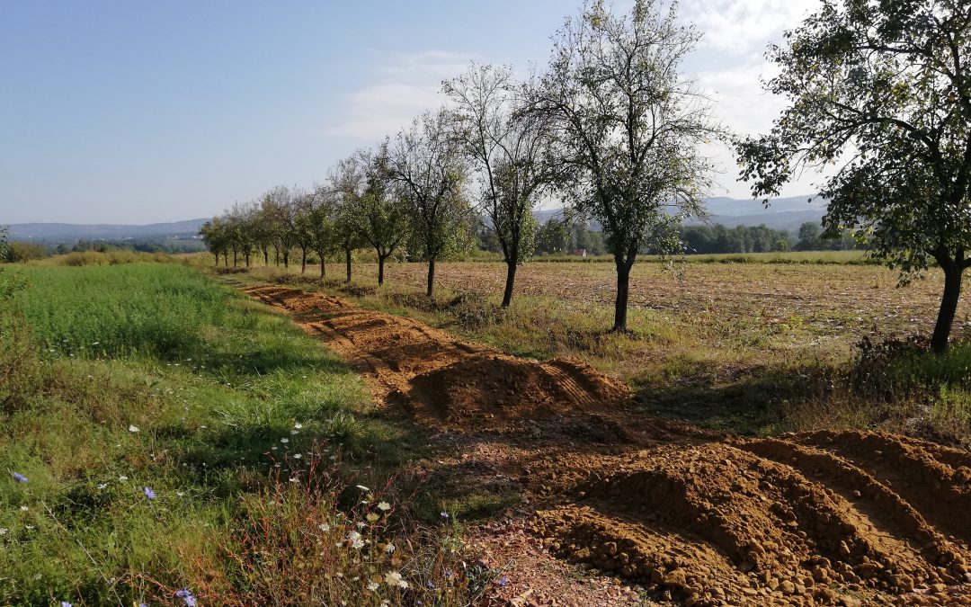 Започети радови у Месној заједници Гружа – Грабовац